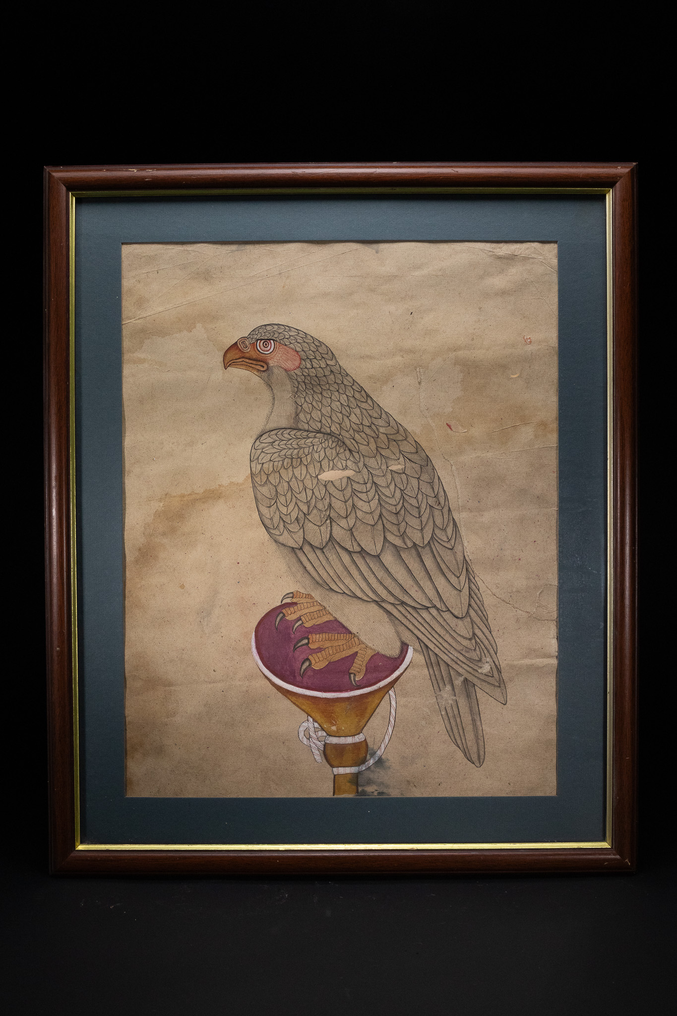 AN INDIAN SCHOOL STUDY OF A FALCON ON A PERCH, 19TH CENTURY.