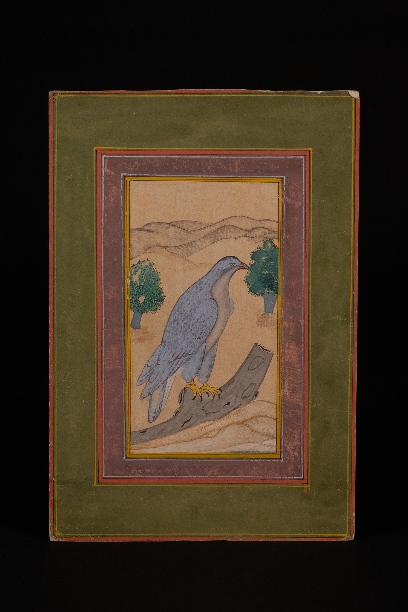 A PROVINCIAL MUGHAL MINIATURE PAINTING OF A FALCON, 19TH CENTURY.