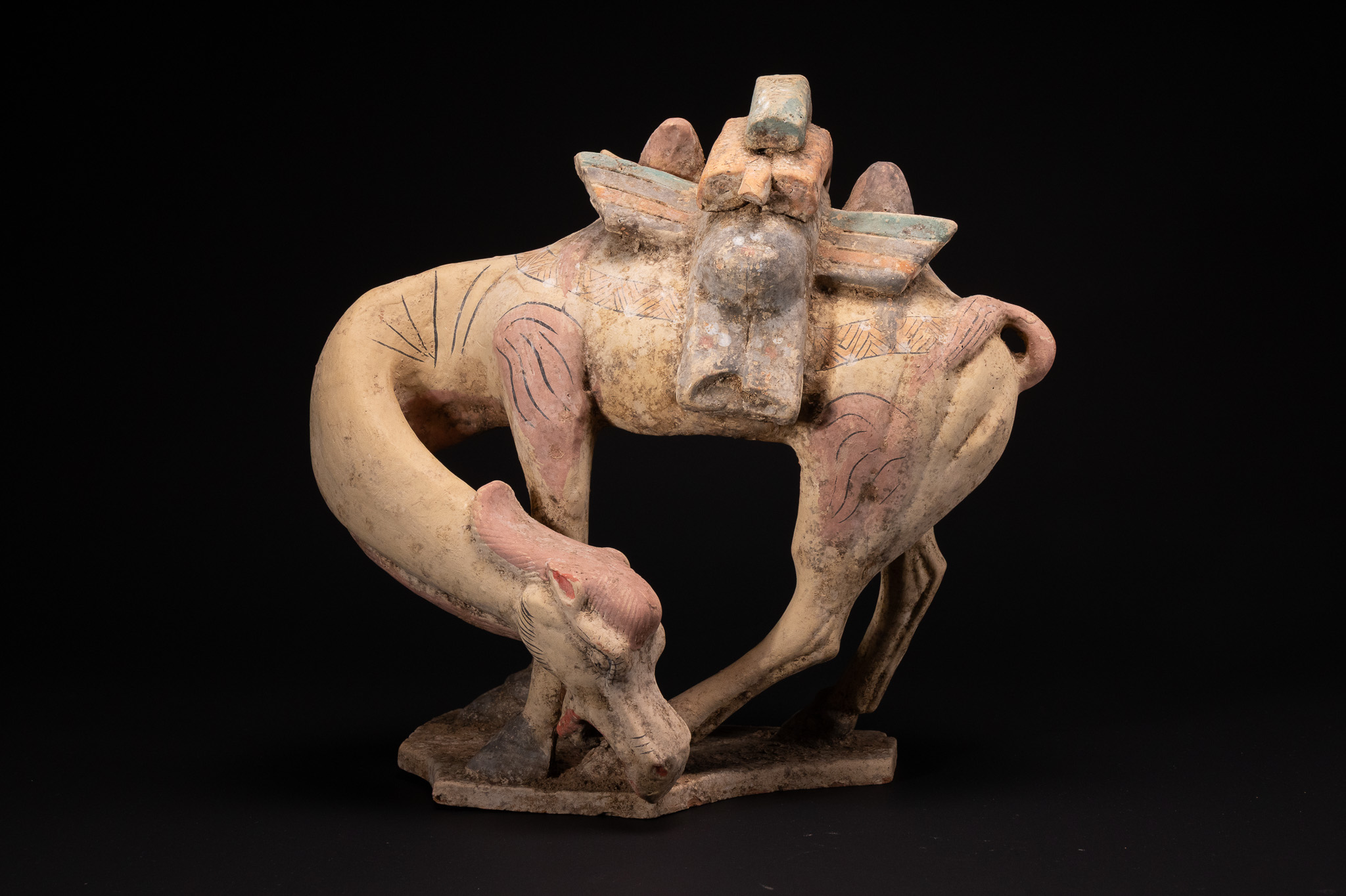 A CHINESE PAINTED POTTERY FIGURE OF A SCRATCHING BACTRIAN CAMEL, POSSIBLY TANG DYNASTY.