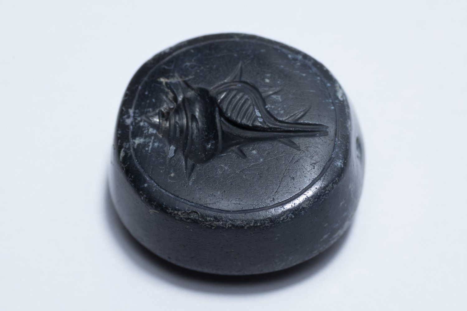 A GREEK CARNELIAN SCARAB DEPICTING A SEA CONCH SHELL, POSSIBLY CIRCA 5TH–4TH CENTURY BC.