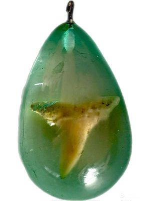 תליון שן כריש באפוקסי, 4x2.5 ס״מ, צ׳יפ קטן מאחורה ושפשוף מלפנים