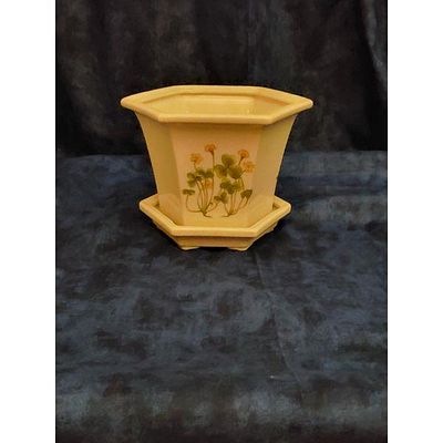 Octagonal Ceramic Planter Pot with Drainage Saucer, Hand-Painted Botanical Motifs, Matching 