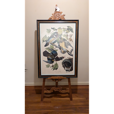 Vintage Audubon Summer or Wood Duck Framed Print. Description: Framed Audubon ornithological 