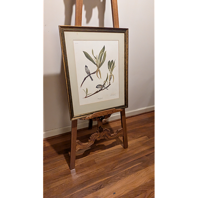 Vintage Ray Harm Tufted Titmouse Framed Print. Description: Framed art print featuring a Ray 