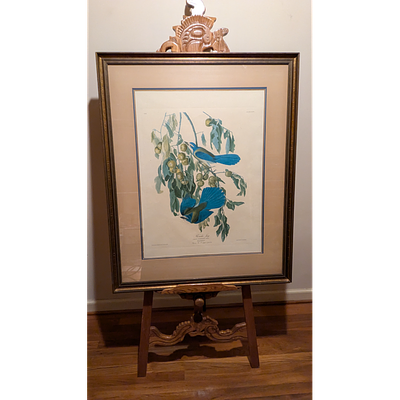 Vintage Florida Jay Framed John James Audubon Art Print. Description: Framed art print featuring 