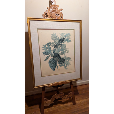 Vintage John James Audubon Framed Bird Print of Canada Jays . Description: Vintage framed John 