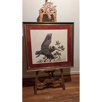 Vintage John A. Ruthven Brown Pelican Art Print, Elegantly Framed. Description: Framed pelican 