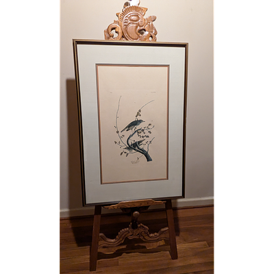 Vintage John James Audubon Hermit Thrush Framed Art Print. Description: Framed art print 