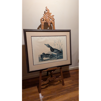 Vintage and Framed Red Headed Duck Print, John James Audubon Artwork. Description: John James 