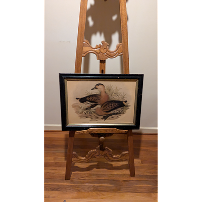 Vintage Gould & Richter Framed Duck Lithograph - Vintage Art, Black Frame. Description: Framed 