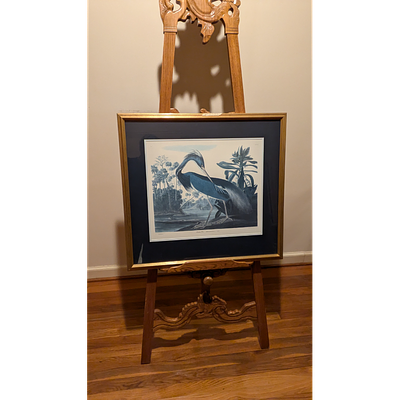 John James Audubon Louisiana Heron Print, Framed Art, Vintage. Description: Beautifully framed 