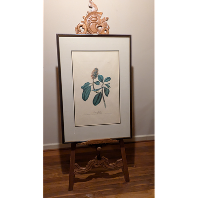 Vintage John James Audubon Bonaparte's Flycatcher Framed Print. Description: Audubon framed 