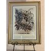 Home Decor - Gold Floral Print. Vintage-style framed botanical print, "Fleurs du Sud, " Image - 2