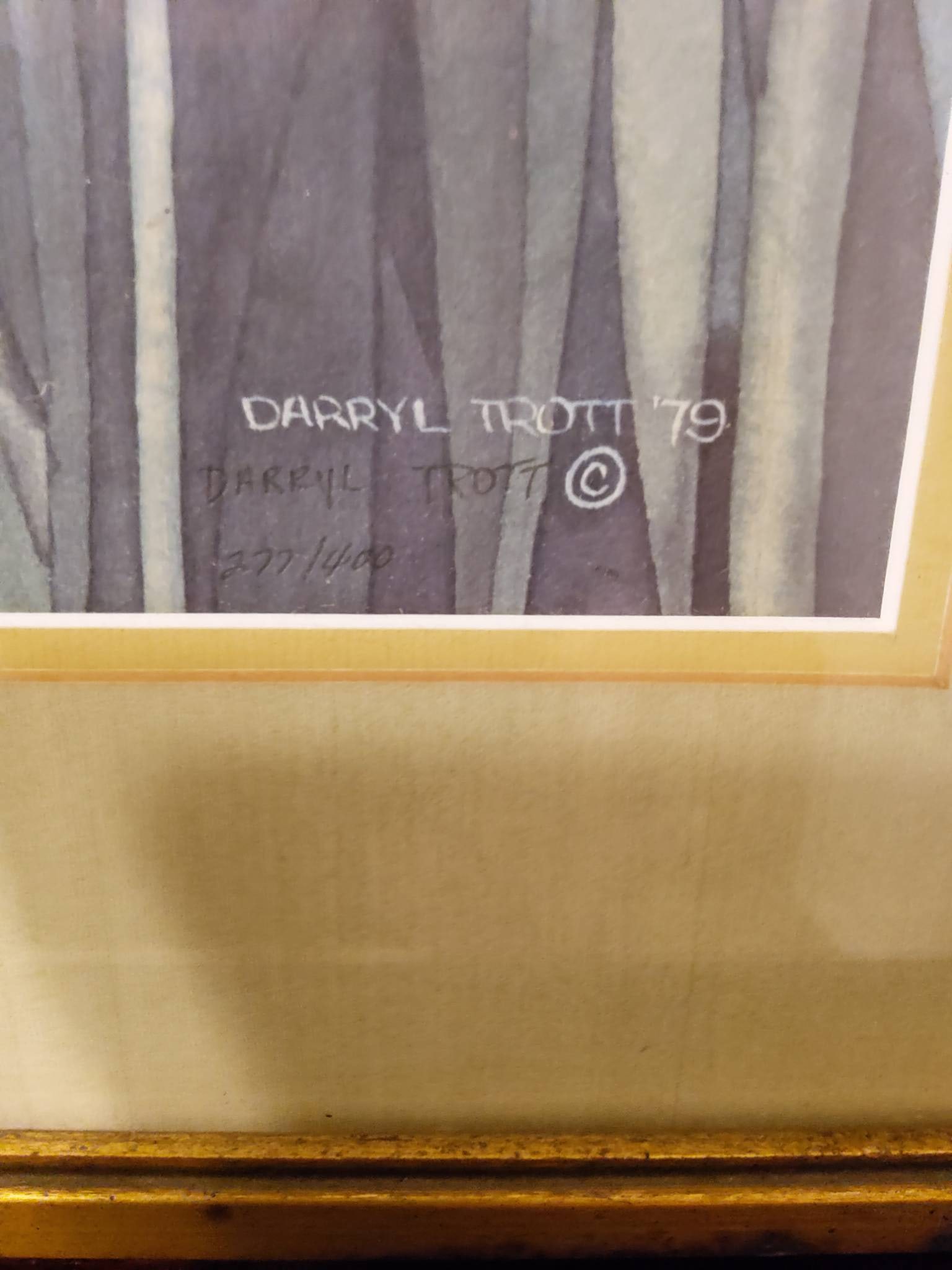 Framed Darryl Trott Limited Edition Print