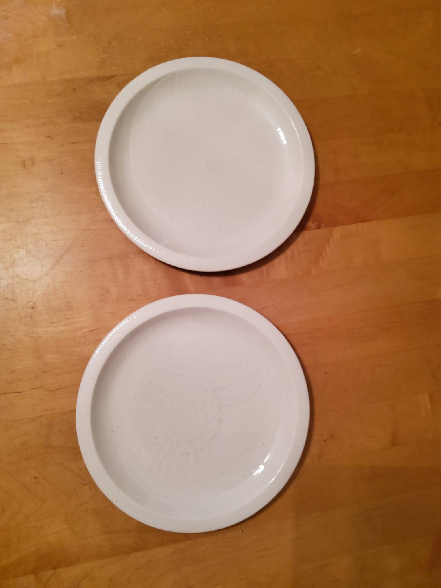 Set of 2 Studio Nova Fine Porcelain Plates