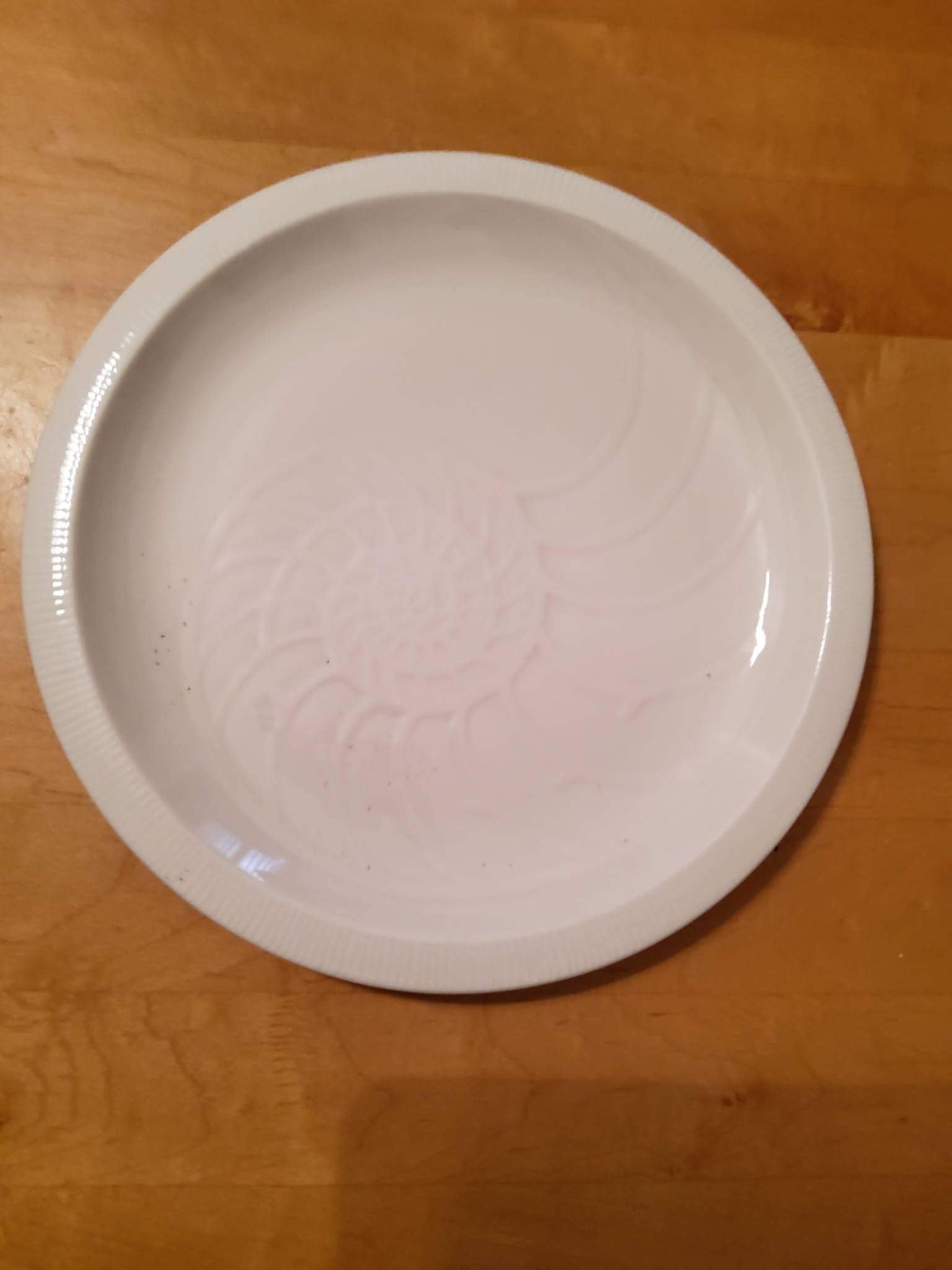 Set of 2 Studio Nova Fine Porcelain Plates