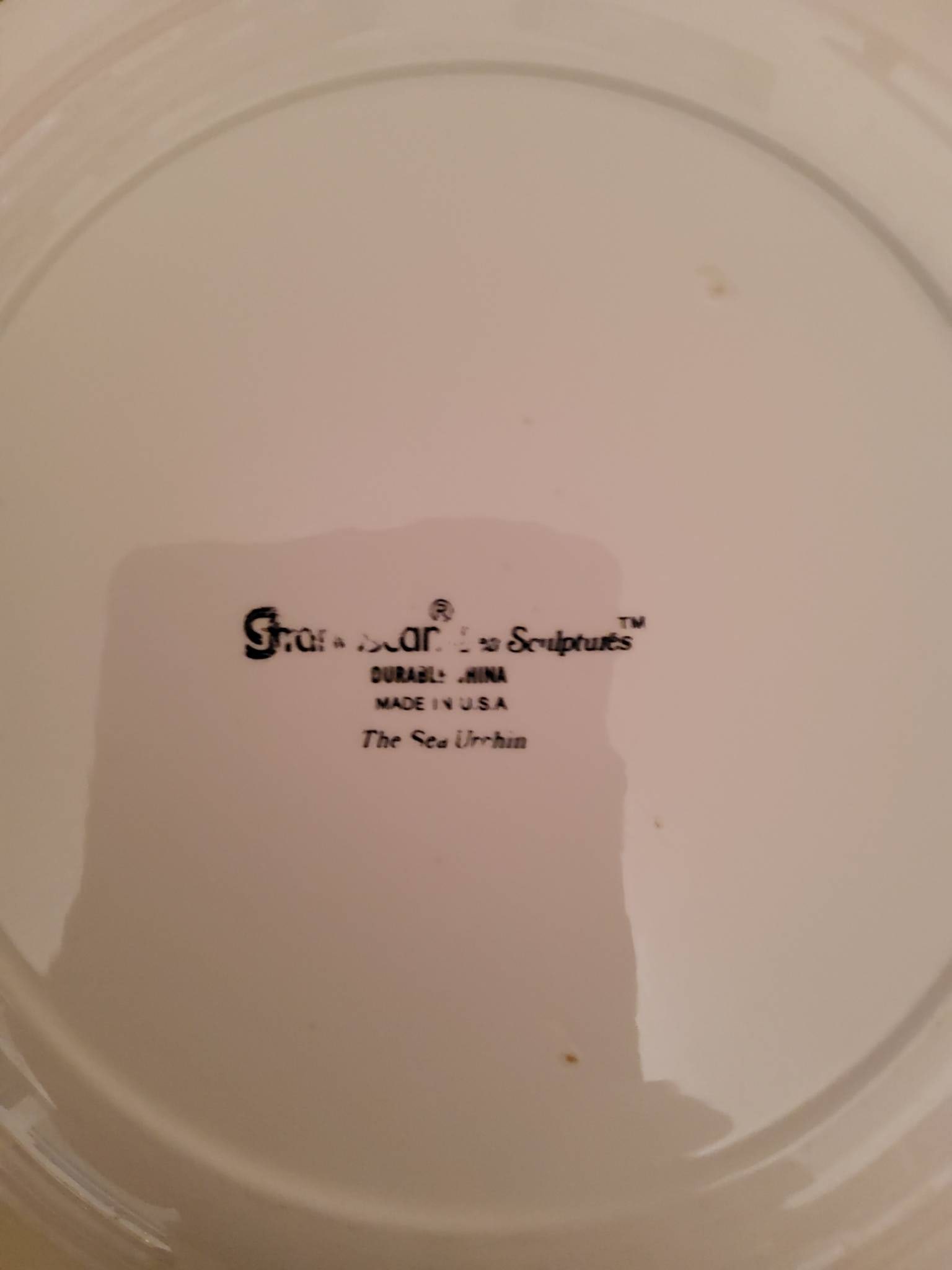 Set of 2 Studio Nova Fine Porcelain Plates