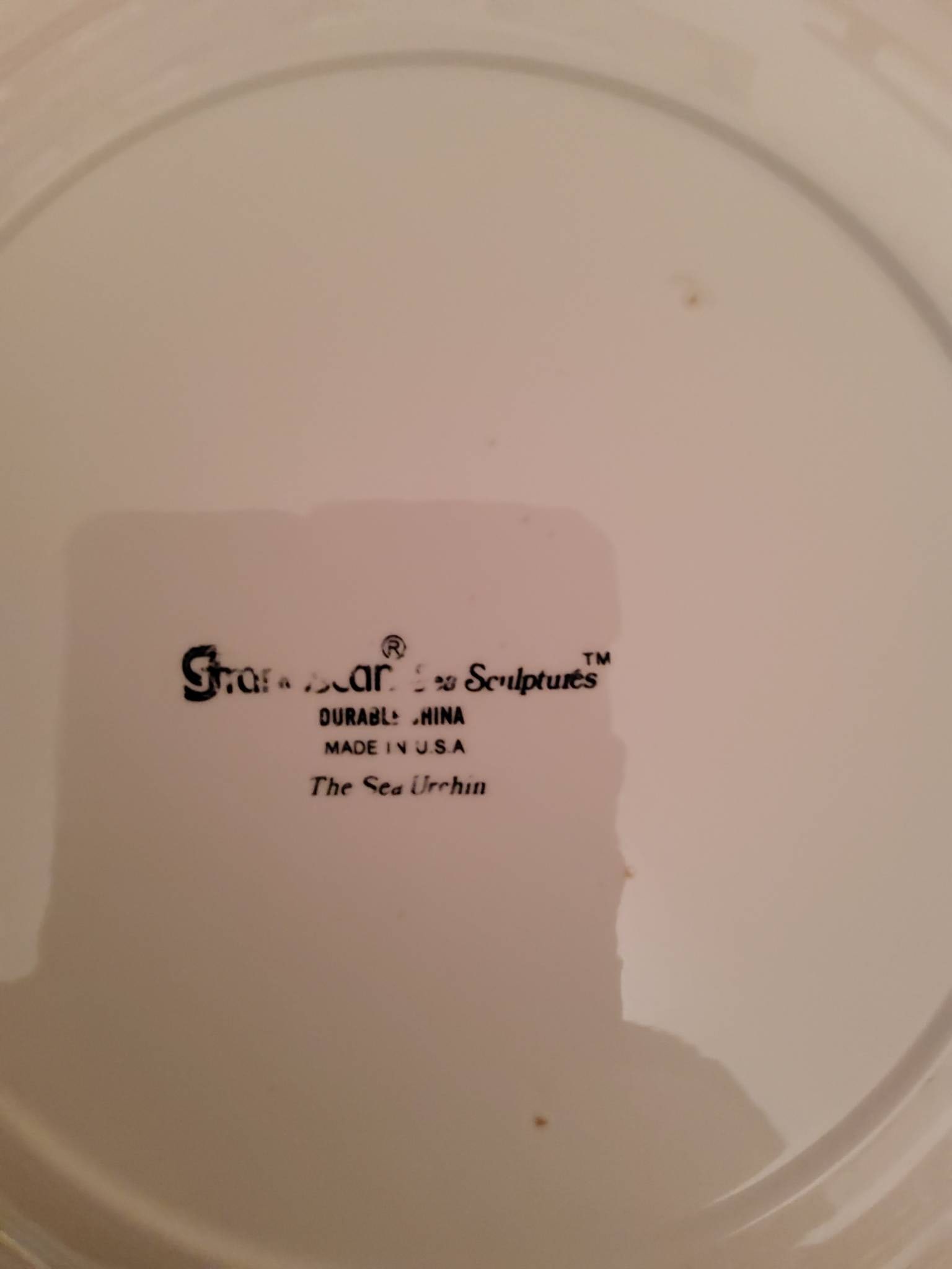 Set of 2 Studio Nova Fine Porcelain Plates