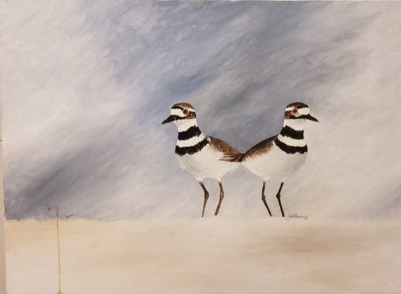 Oil Painting Depicting Killdeer Birds on Canvas