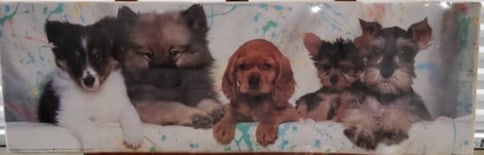 Portal Decorative Wall Art Panel with Dog Images