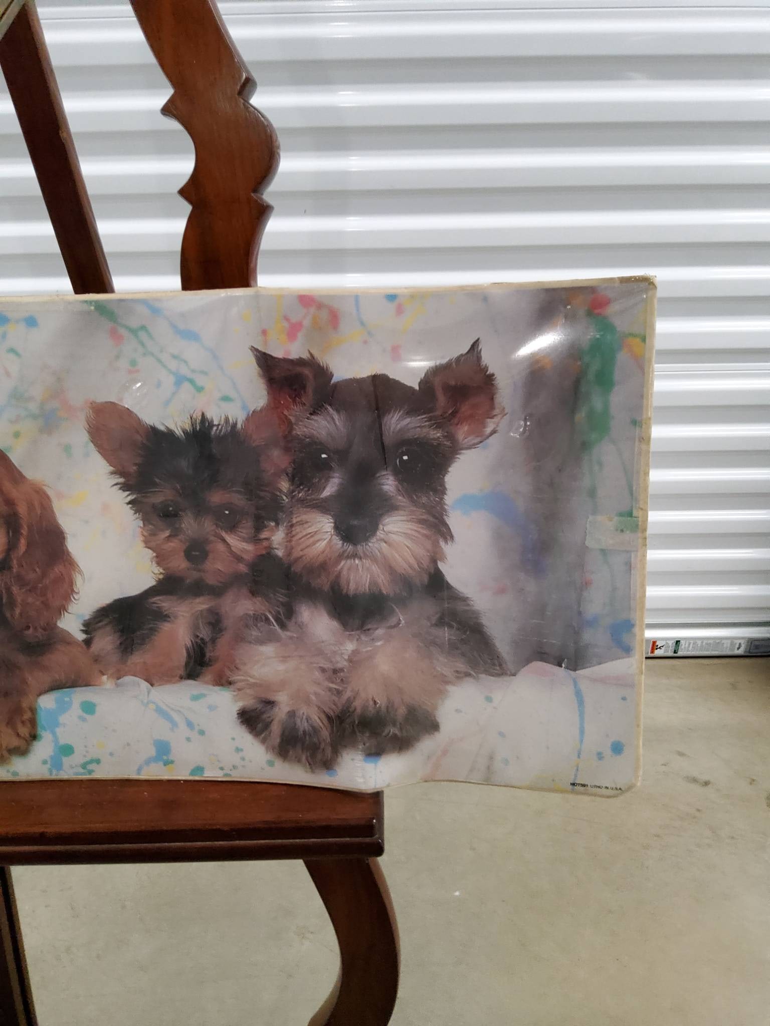 Portal Decorative Wall Art Panel with Dog Images