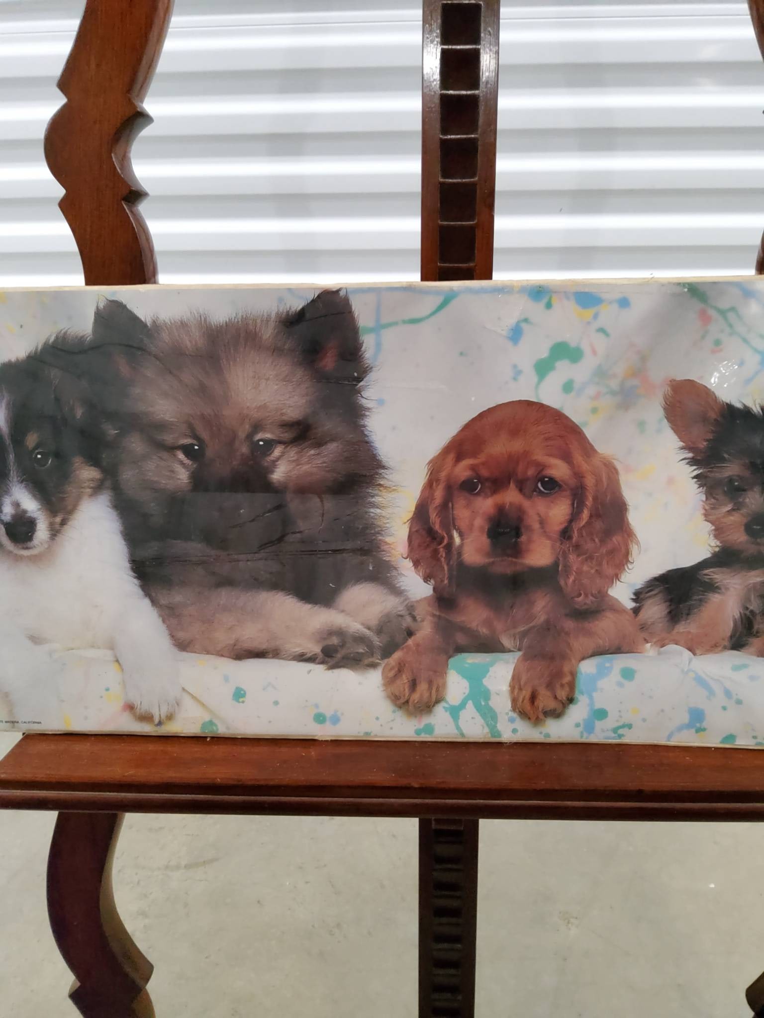 Portal Decorative Wall Art Panel with Dog Images