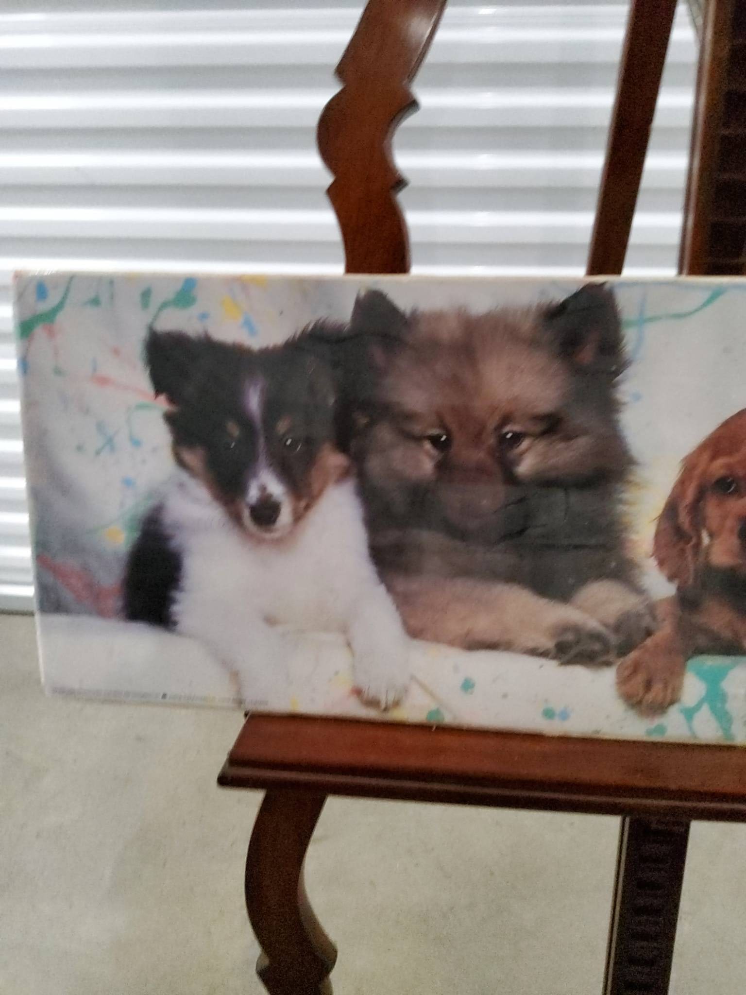 Portal Decorative Wall Art Panel with Dog Images