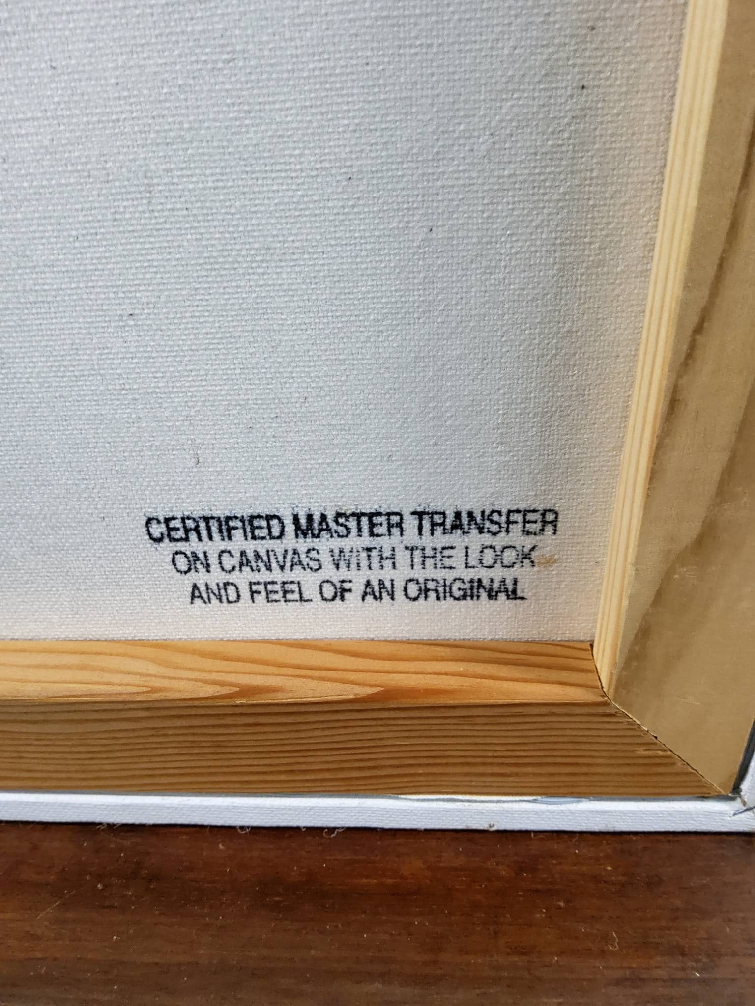 Certified Master Transfer on Canvas of a Young Woman