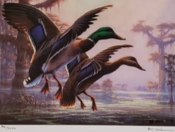 R.C. Davis Louisiana Mallard Print with Duck Stamps