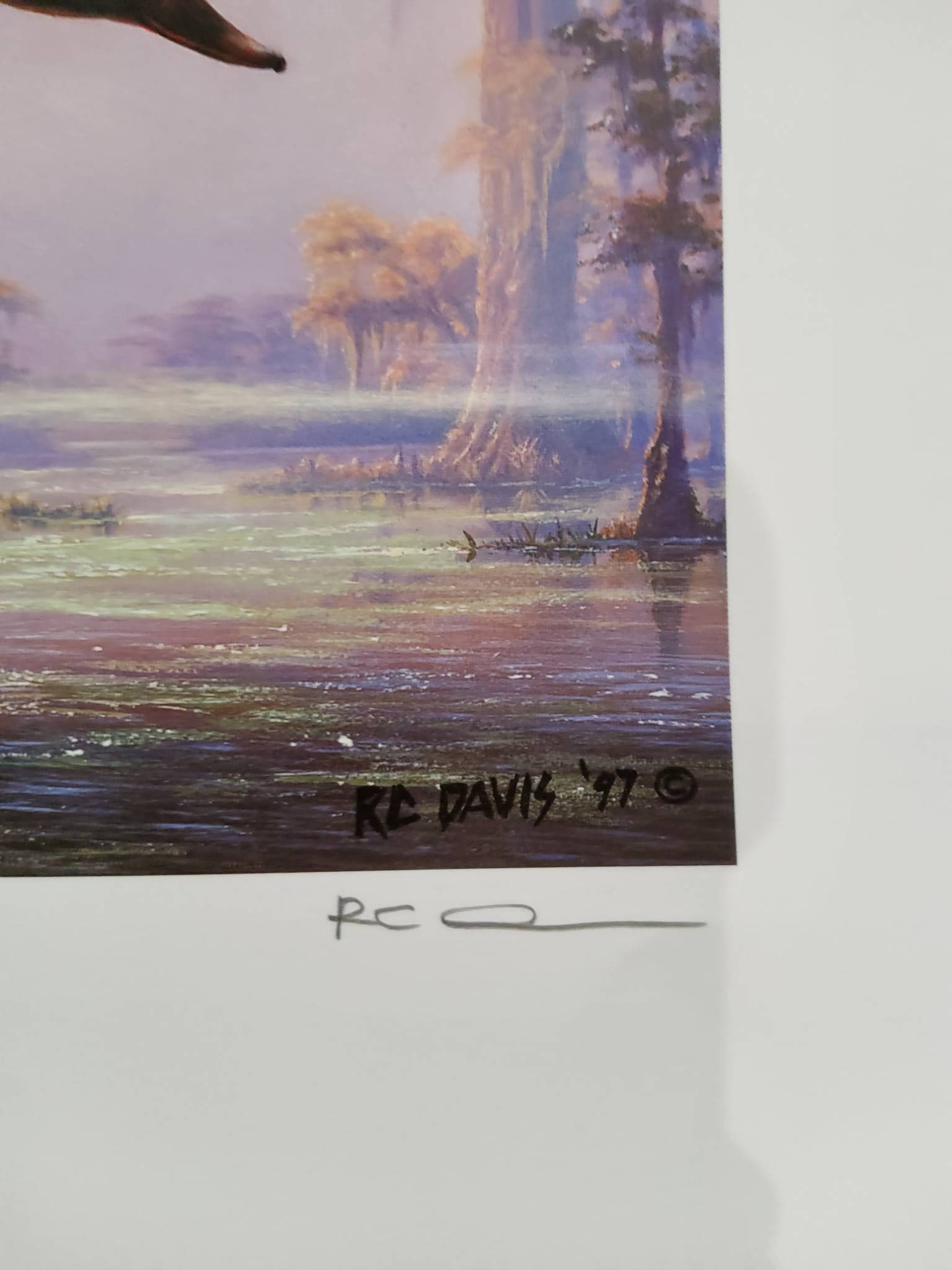 R.C. Davis Louisiana Mallard Print with Duck Stamps