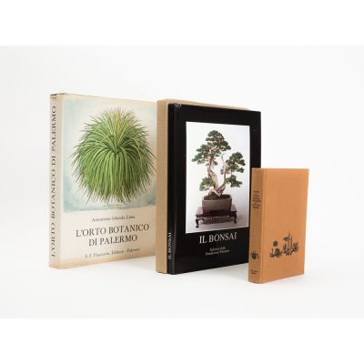 TRE VOLUMI DI BOTANICA E DI FAUNA MARINA. Categoria: Libri