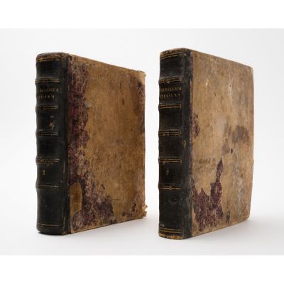 DUE VOLUMI Vocabolario Italiano – Latino. Categoria: Libri