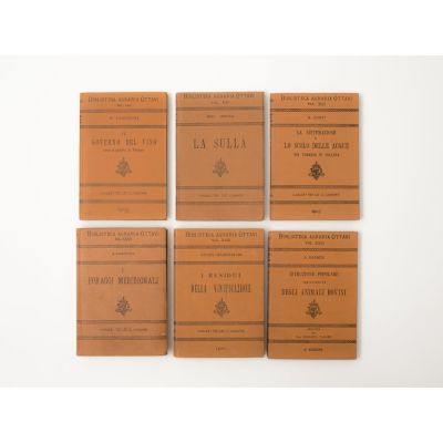 SEI VOLUMI IN 16&deg; della Collana Biblioteca Agraria Ottavi. Categoria: Libri