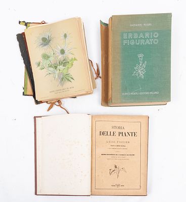 TRE VOLUMI DI BOTANICA: 1) Luigi Figuier STORIA DELLE PIANTE, ed. Milano, Fratelli Treves 1873. 