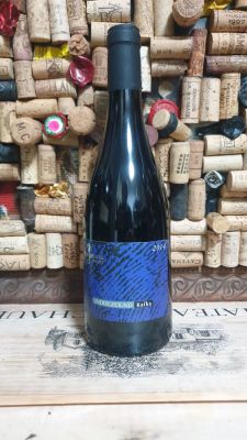 2014 סוסון ים , קפקא אנדרגראונד, תקין שמור, נדיר ואיכותי