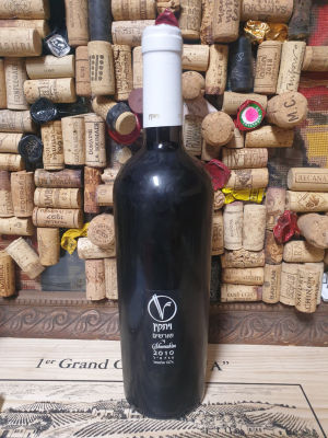 2010 Vitkin Shorashim D.