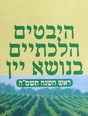 היבטים הלכתיים בנושא יין. מצב טוב.