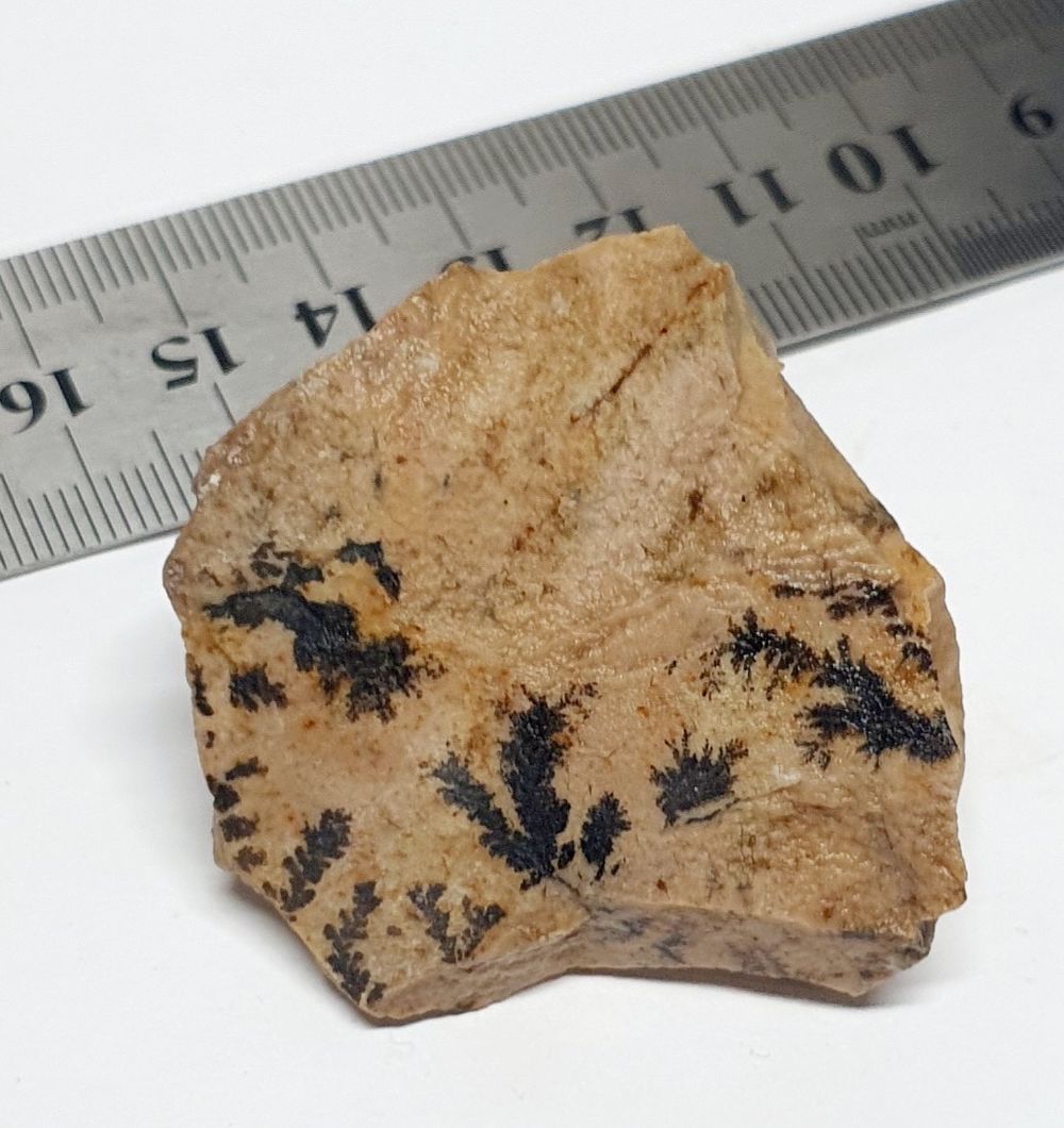 אבן מאבני הסנה - הר סיני. הידועים במסורת. על אבנים אלה כתב הגאון הגדול רבי משה פיינשטיין זצ"ל 