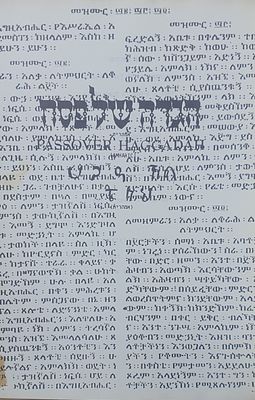 הגדה של פסח אמהרית מראהטית. מצב טוב.