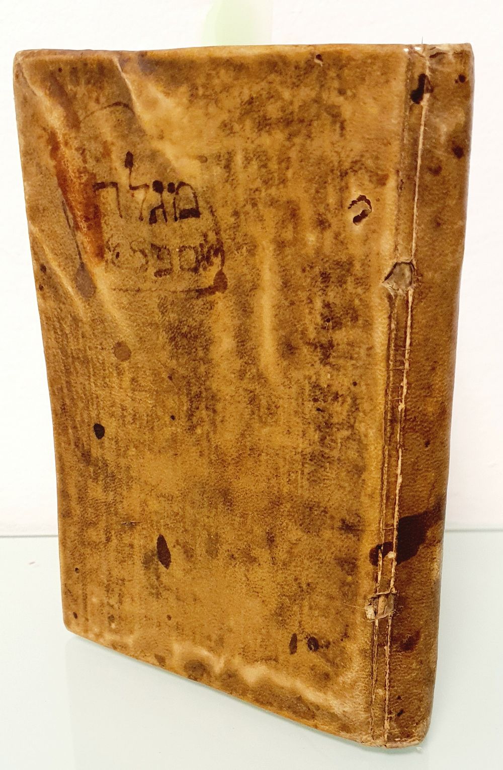 מרהיב עין. רישומים וחתימות. מגלת ספר, קרימונה, שכ"ו [1566] נדיר. עותק חסר. סוף הספר קיים. 