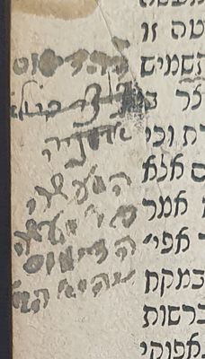 הגהות וחותמות. חידושי הר"ן והריטב"א זיע"א, משנות התק'. חסר.