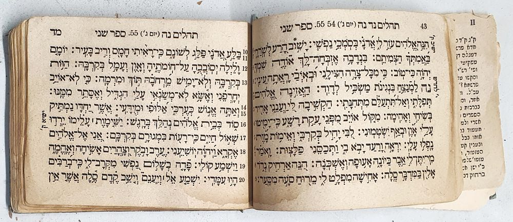 תהלים רעדלהיים. חסר שער בלבד.