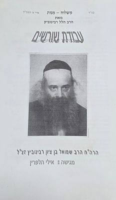 עבודת שורשים, הרב הלל רבינוביץ