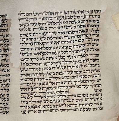 מגילת אסתר -"המלך"- דיו על קלף. תקופה עכשווית. כתיבת סופר מומחה. גליון אחרון קלף משוח. מתויג. 