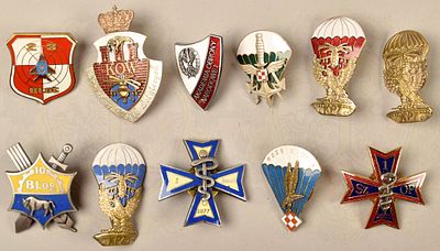 11 Polish Army and Air Force badges since 1989. 11 Abzeichen Polnisches Heer u. Luftstreitkr&auml;fte 
