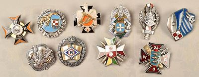 10 badges Polish Army, Air Force badges and Police. 10 Abzeichen Polnisches Heer 