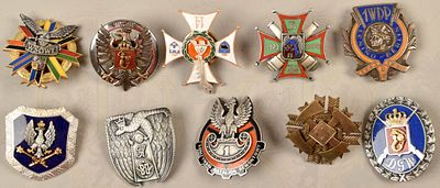 10 Polish Army regiment badges since 1989. 10 Verbandsabzeichen/Erinnerungsabzeichen Polnisches 