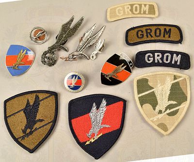 10 badges Polish special forces GROM. 10 Abzeichen polnische Spezialstreitkr&auml;fte GROM 