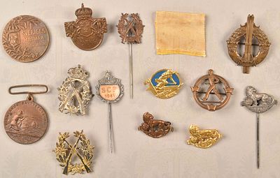 13 Swedish medals and badges 1930s to 1960s. 13 Medaillen und Abzeichen Schweden, 30er Jahre bis 