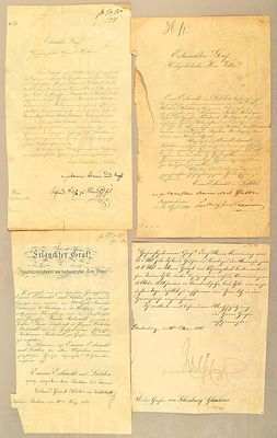 document group count schoenburg-glauchau. Dokumentengruppe Graf Sch&ouml;nburg-Glauchau 